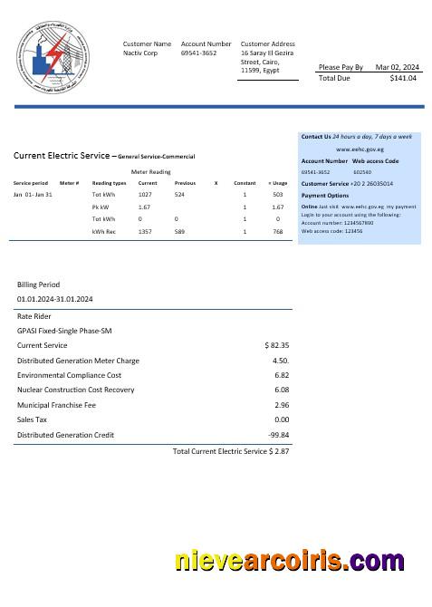 Egypt Egyptian Electricity business utility bill